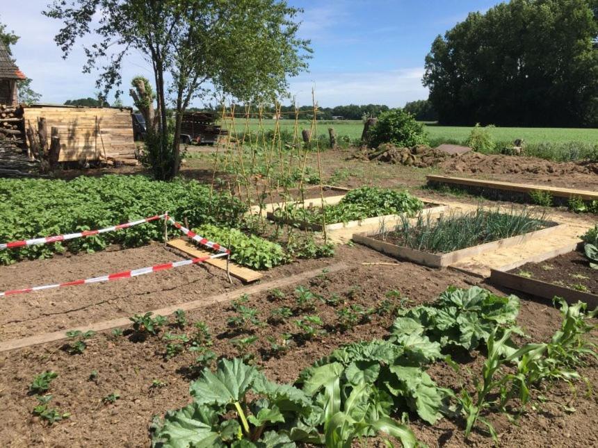 Hoeve Delshorst Heibloem Exterior foto